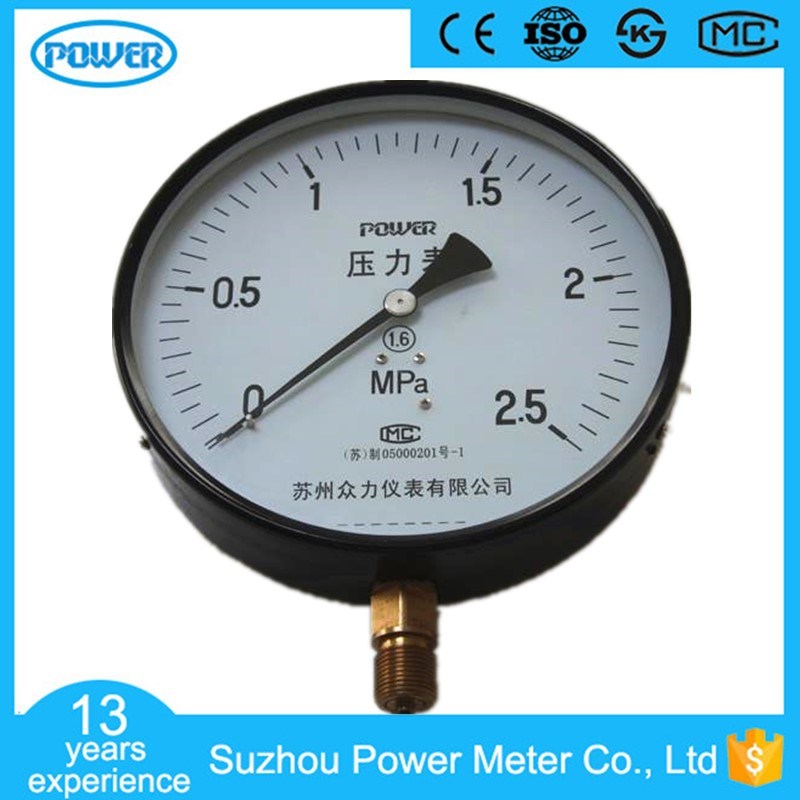 250mm Stainless Steel Case Bottom Type Pressure Gauge Manometer