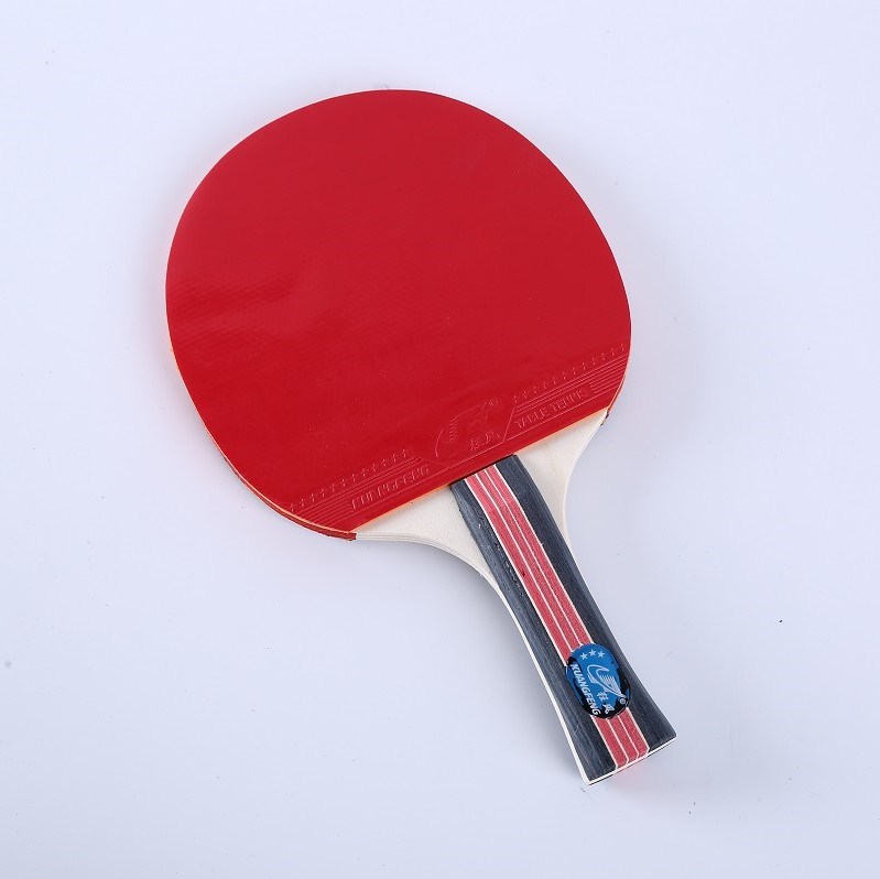 Ittf Approved Sport Table Tennis Training Paddles at Best Price