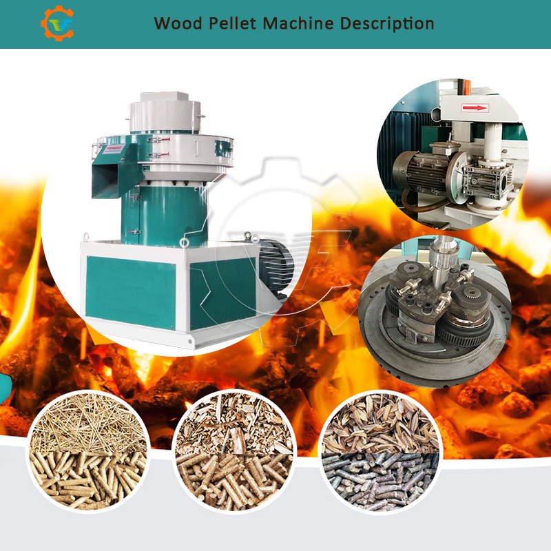 Vertical Ring Die Pellet Mill Machine Biomass Equipment for Sale