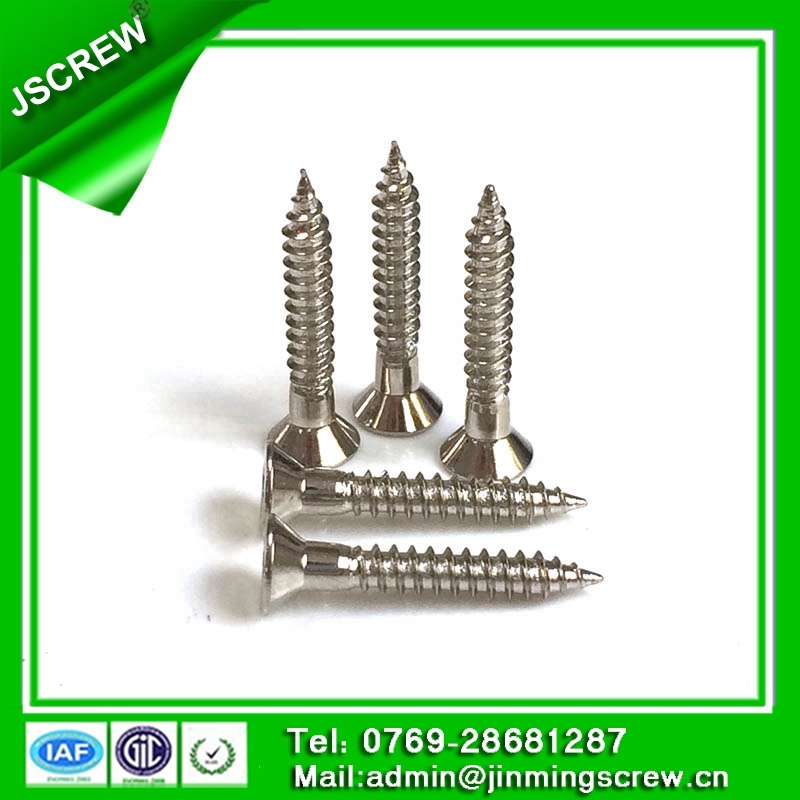 6mm Stainless Steel Countersunk Head Self Tapping Screw for Building