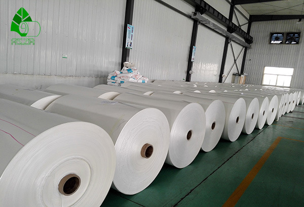 Double PE Coated Paper for Making Paper Cups