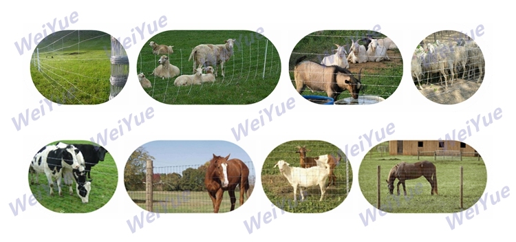 Farm Fence Factory Low Price Aluminium Fence Cattle Fence