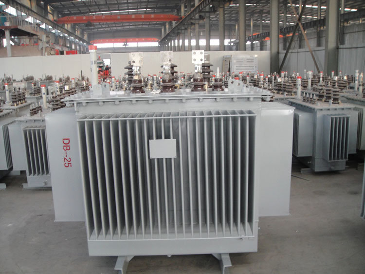 11kv Oil Immersed Distribution Transformer