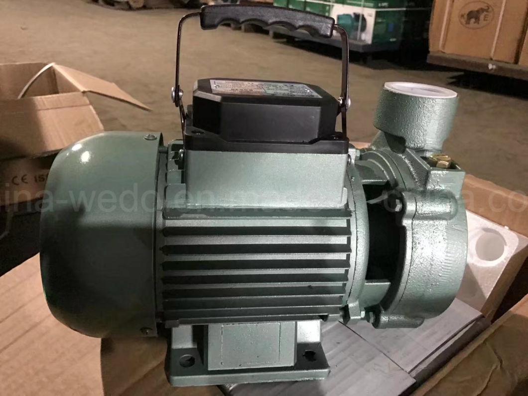 High Quality Electric Centrifugal Water Pump (1DK-20)