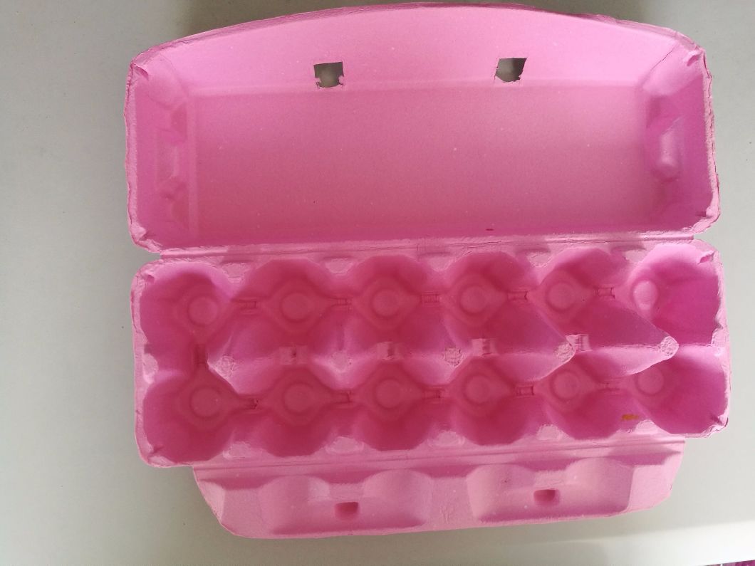 Recycle Paper Moulded Pulp Shockproof Egg Tray Egg Box