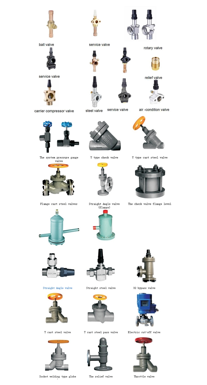 Cast Steel Valve with Ammonia Cooling