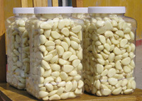 Chinese Export Fresh Peeled Garlic