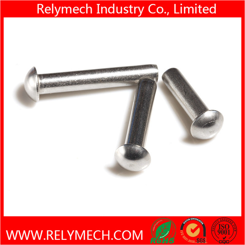 Mushroom Head Round Head Solid Rivet in Stainless Steel