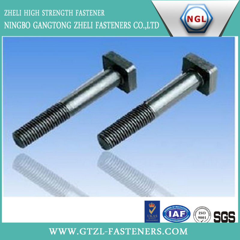 Mushroom Head Square Neck Bolt DIN603