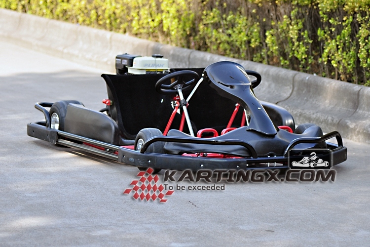 Ce Approved China Made 2 Seat Racing Adult Go Kart