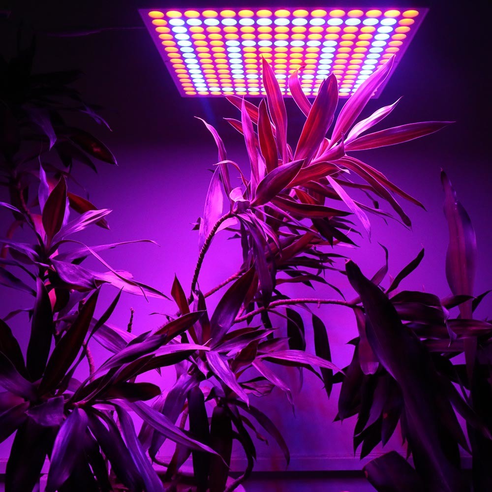 2018 Reflector Cup Full Spectrum LED Grow Lights for Grow