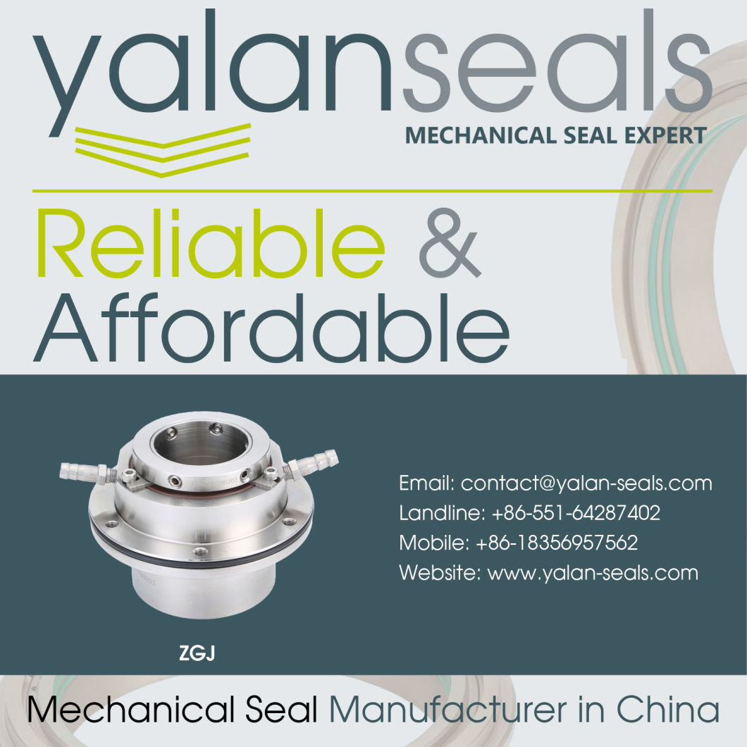 ZGJ Mechanical Seals for Paper-making Equipment, Alumina Plants, Flue Gas Desulphurization, Deashing System and Slurry Pumps