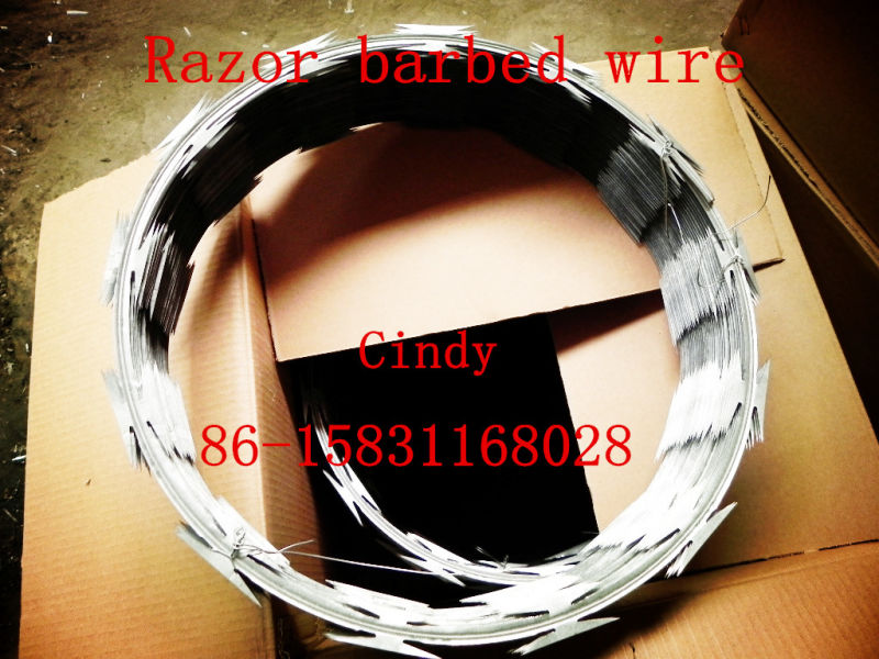 PVC Coated Galvanized Concertina Barbed Wire (XA-RW004)