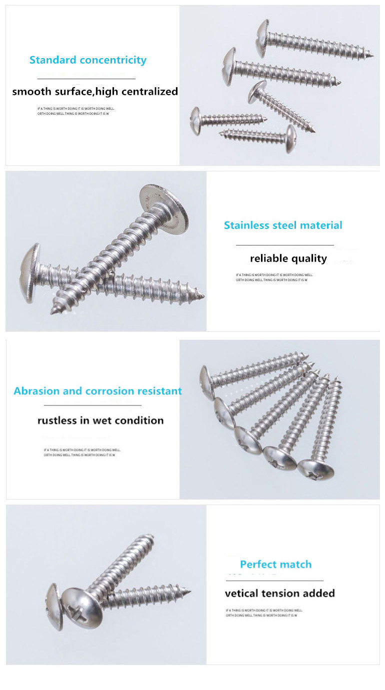 Stainless Steel Cross Recessed Truss Head Tapping Screws