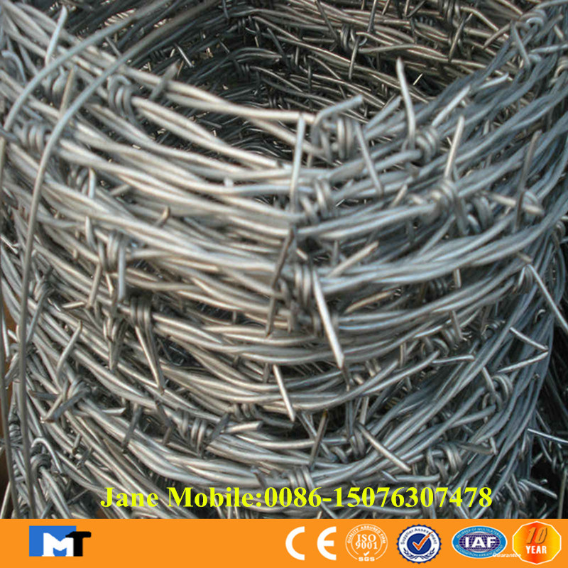 Hot Sell Products Galvanized Barbed Wire (MT-BW3)