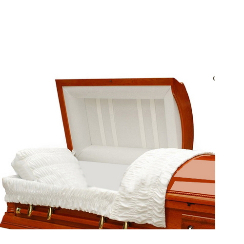 China Manufacturer Cardboard Caskets for Funeral Use Td--AC02