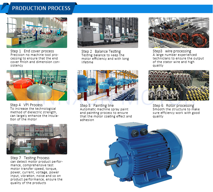 Frequency Speed Electric Three Phase AC Induction VFD Motor