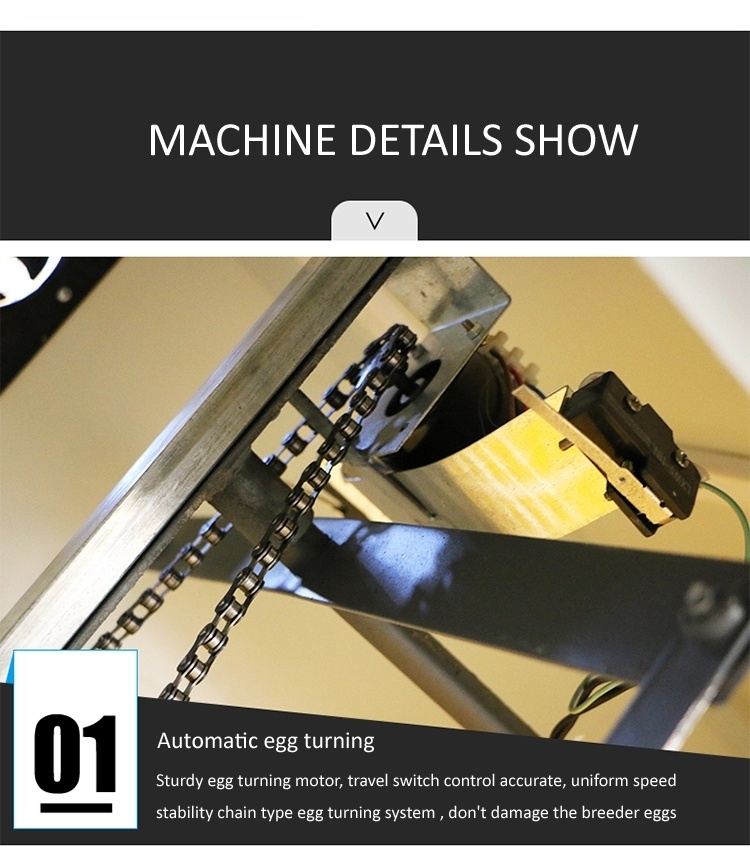 Automaticalc Chicken Eggs Incubator and Hatcher Hpeg5280 Egg Incubator