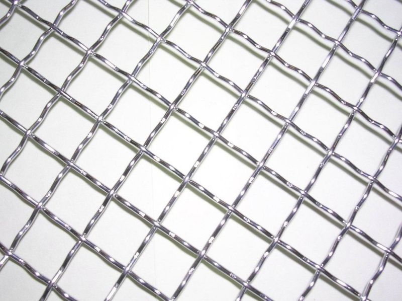 Decorative Galvanized Crimped Wire Mesh (TYE-26)