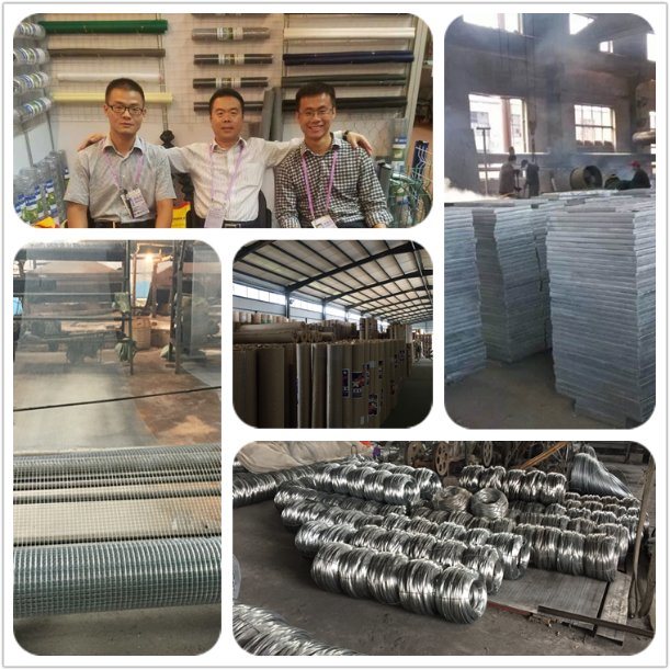 Galvanized Metal Bar Gratings Wire Mesh (100cm*30cm)