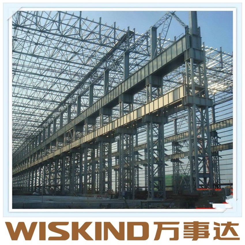 SGS Prefabricated Steel Structure for Factory Poultry Farm Building