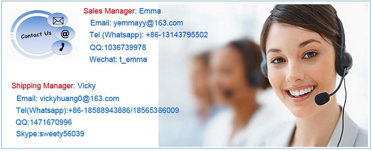 China Freight Forwarder Container Sea Freight From China to Africa