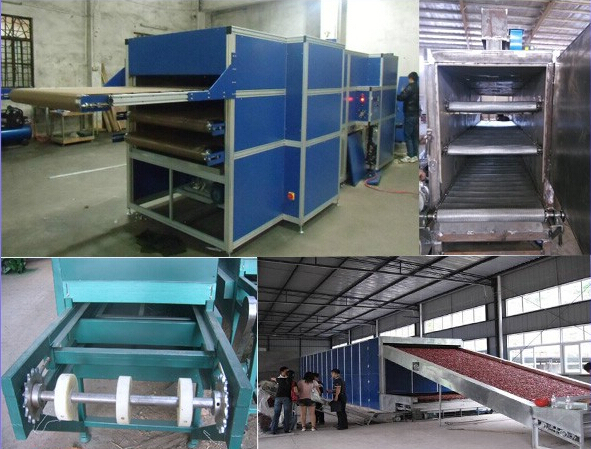 Apple Peach Apricot Fruit Vegetable Mesh Belt Conveyor Dryer