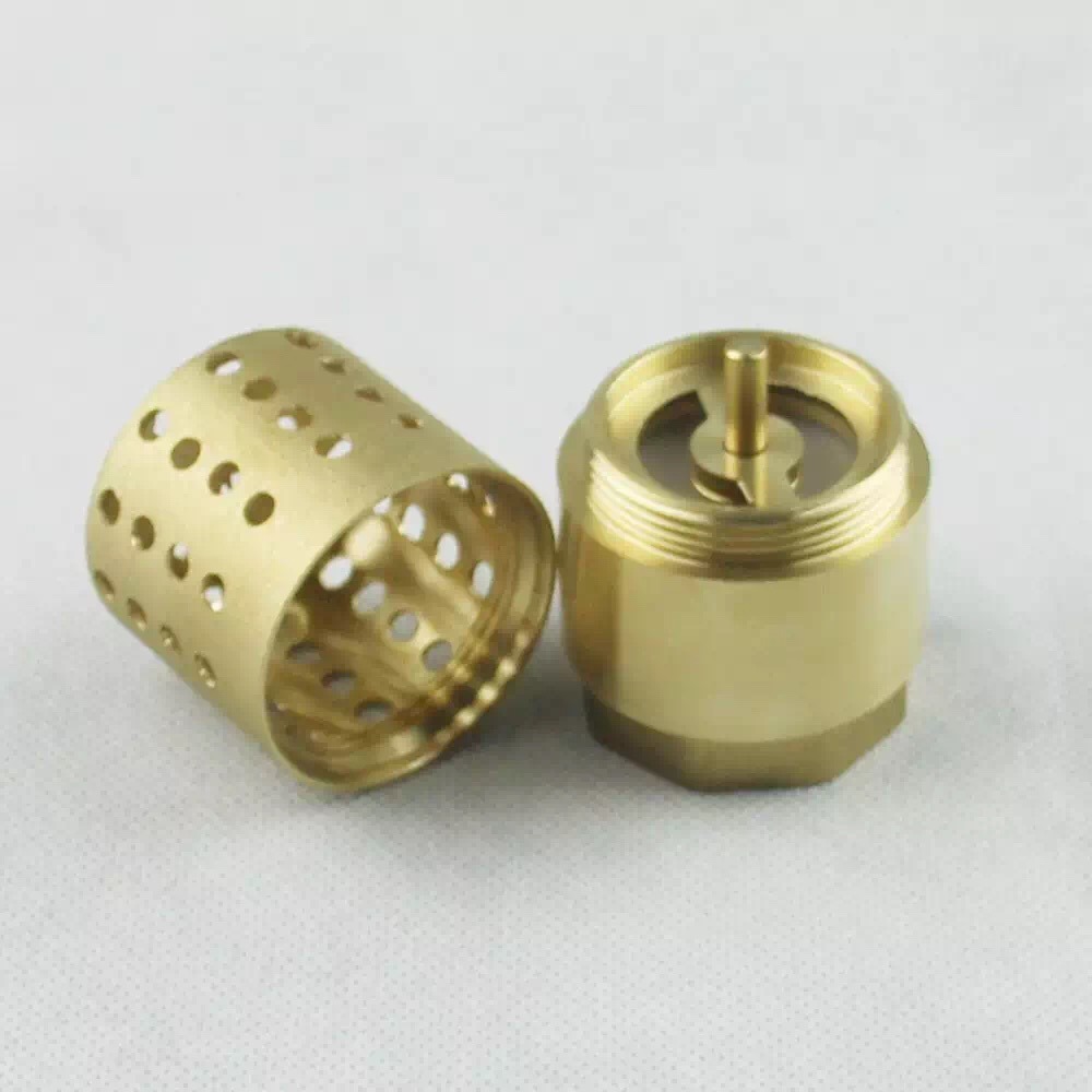 Brass Spring Check Valve with Filter as-C003