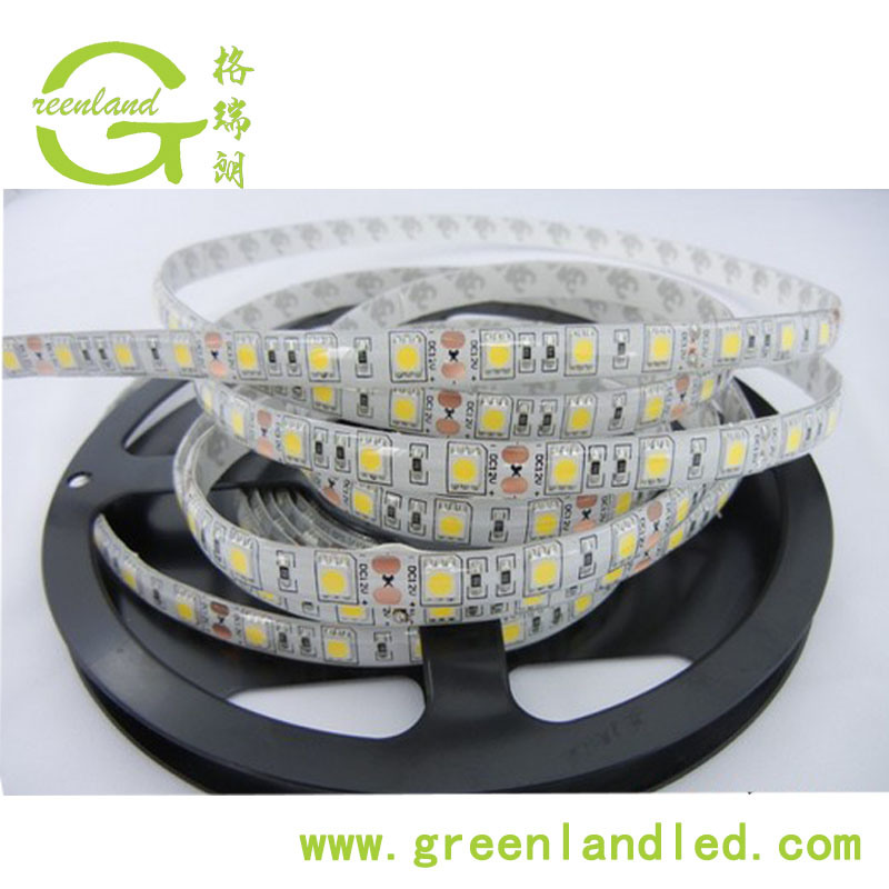 Ce RoHS 12V 24V 60LEDs 5050 LED Strip Light