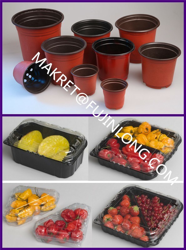 Plastic Container Making Machine Price