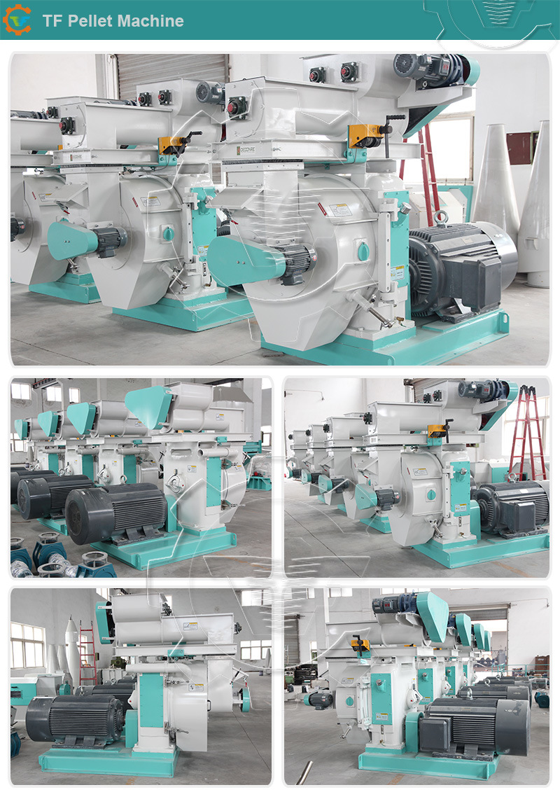 China Professional Biomass Wood Pellet Extruder Pelletizer