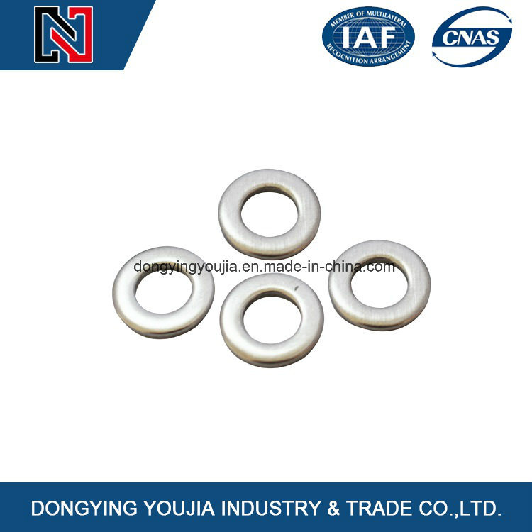 DIN125 Stainless Steel Flat Washer with Standard of DIN, ISO, JIS, ANSI, GB