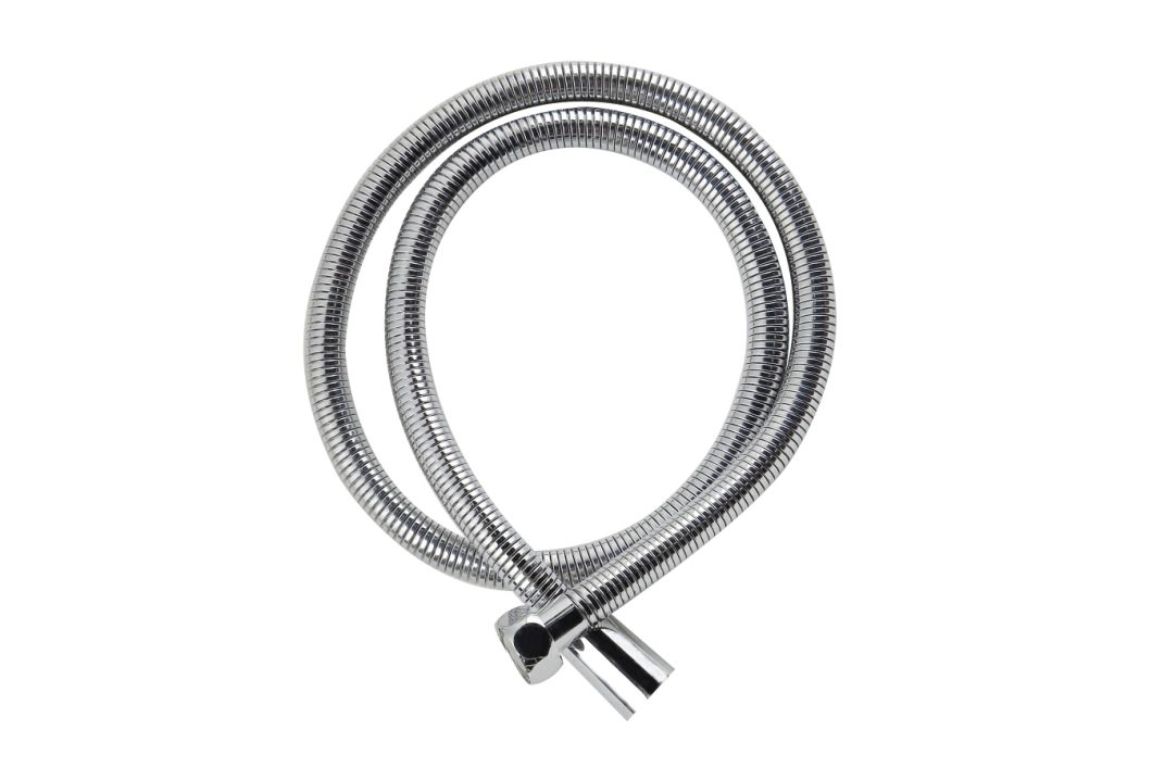 Stainless Steel Shower Hose in Plumbing Hardware Shower Accessories 3056