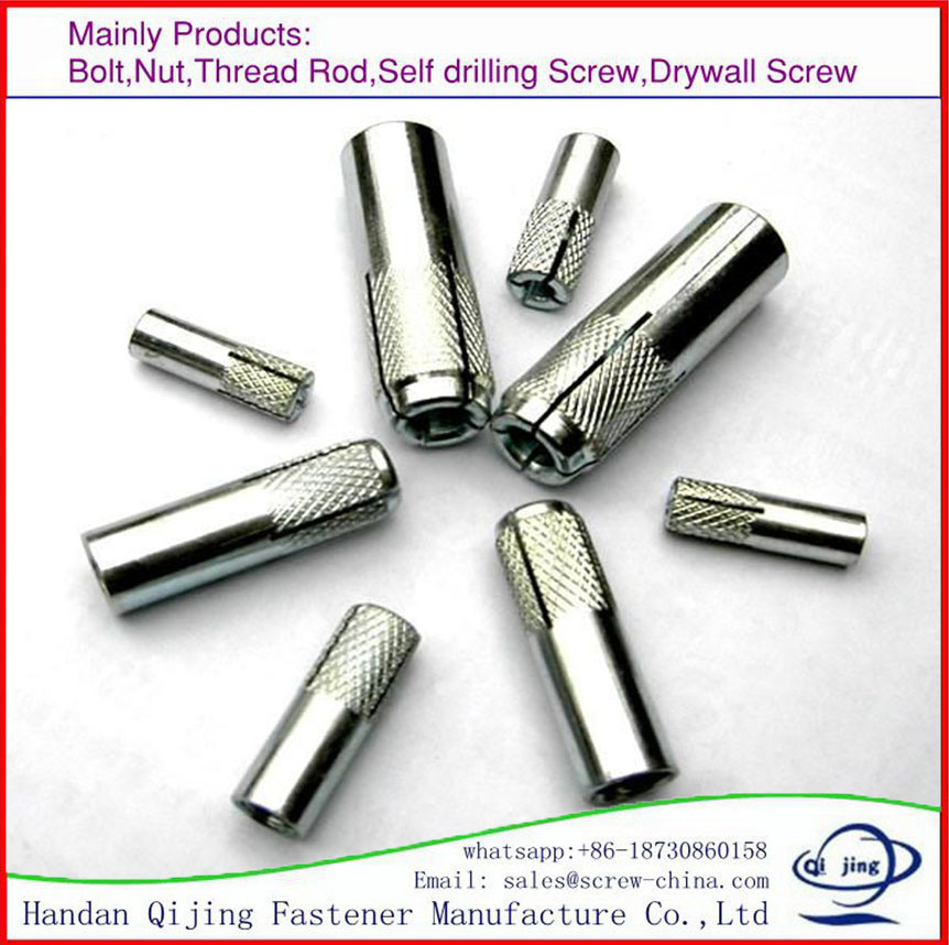 Zp Expansion Bolt/Anchor Bolt/Wedge Anchor Bolt/Hilti Bolt/Drop in Bolt