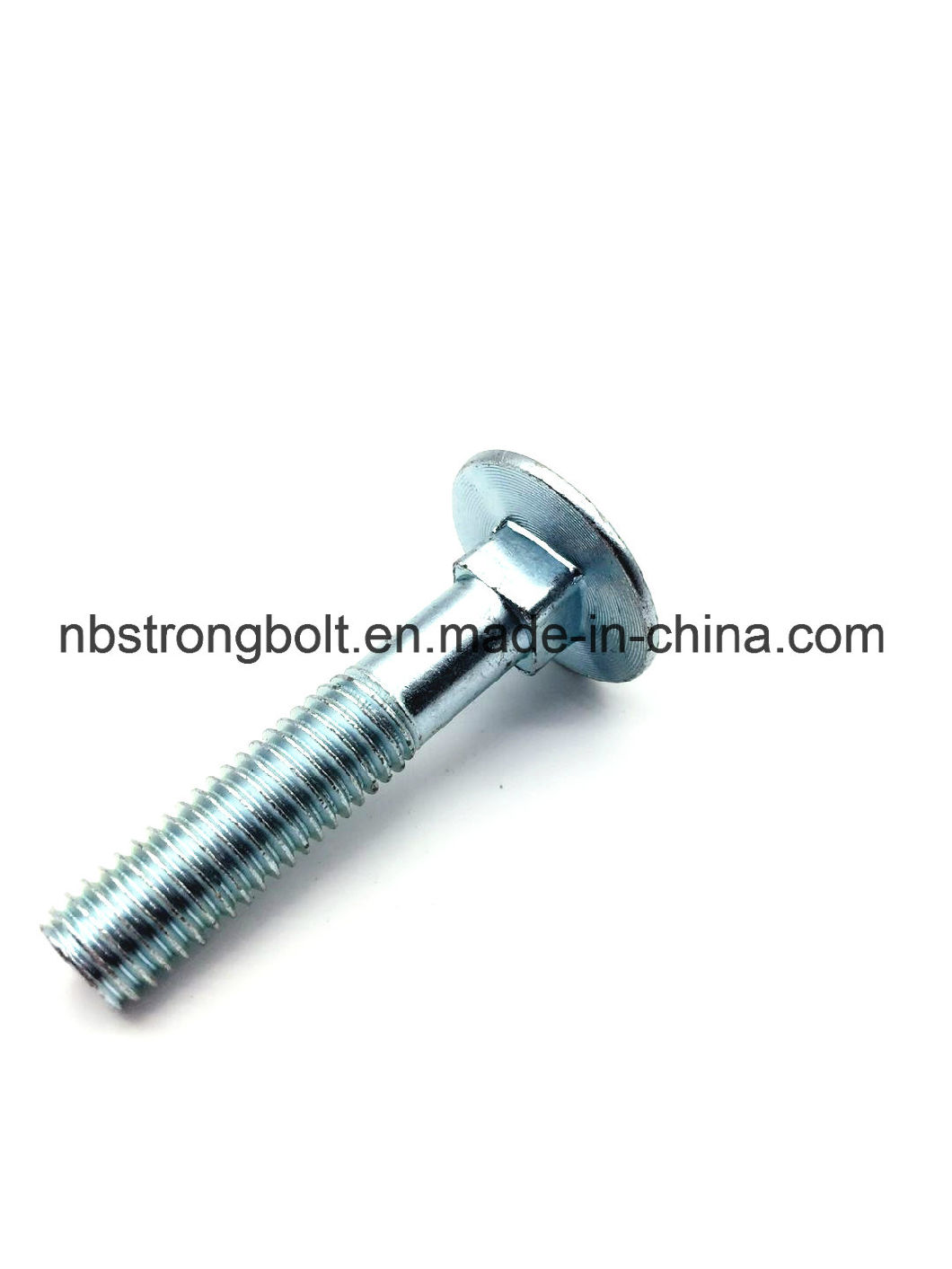 Mushroom Head Square Neck Bolt with Zinc