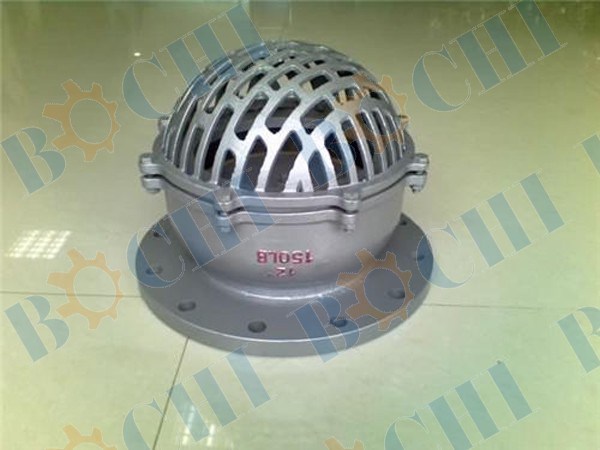 Stainless Steel Flanged Strainer Foot Valve