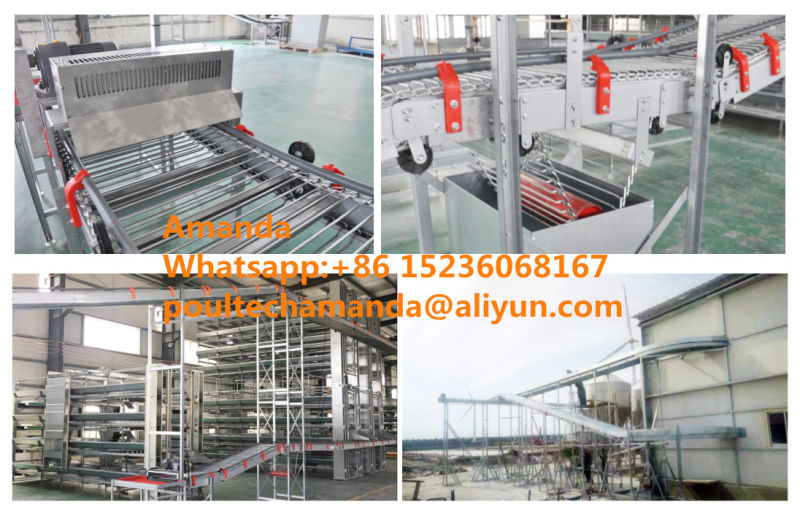 Automatic Good Price & Quality H Frame Type Layer Cage Equipment