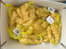 Chinese Fresh Ginger Supplier Provide Bulk Fresh Ginger with Competitive Price