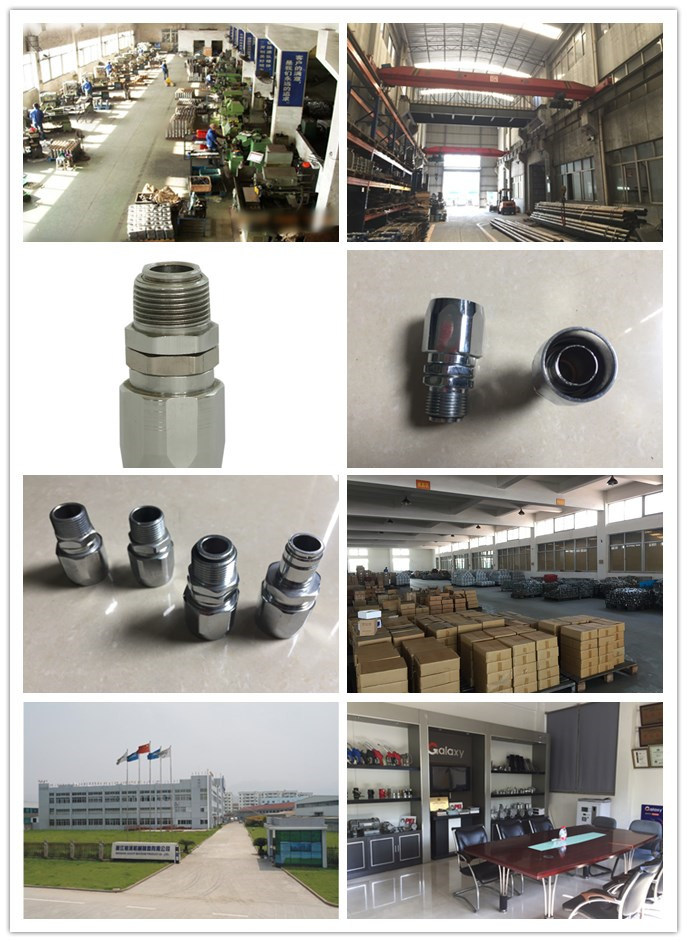 Factory Supply Hose Adaptor with Oil Gun