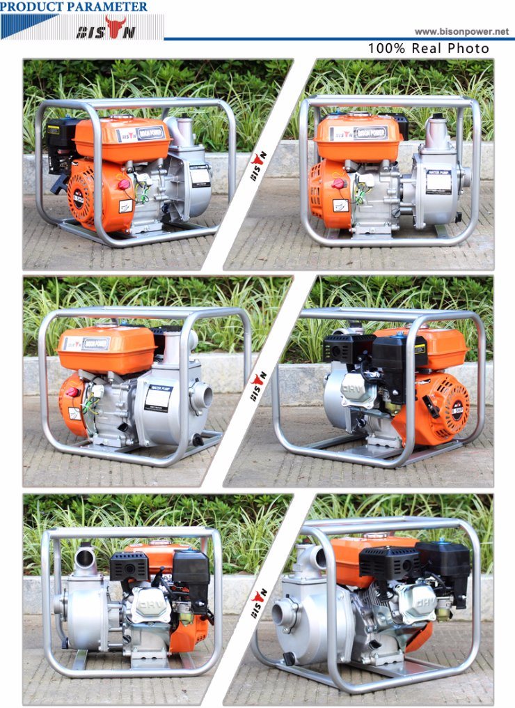 Bison Agricultural Irrigation Mini Gasoline China Water Pump Price