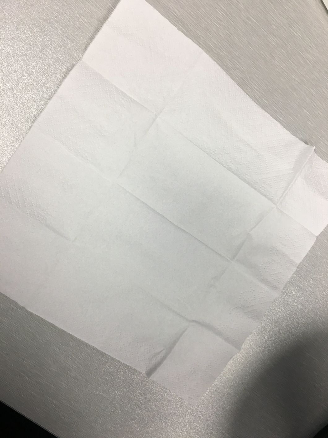 Pocket Napkin