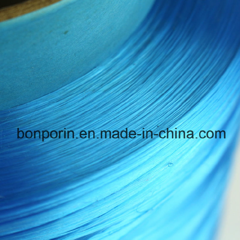 Wholesale Ultra High Molecular Weight Polyethylene Yarn