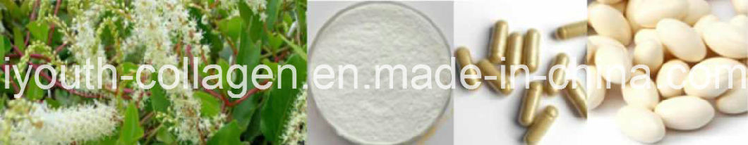 Resveratrol, Pure Natural Plant Extract, Plant Hormones, Anticancer, Antithrombotic, Antioxidant, Natural Antitumor Drug, Cosmetics, Health Food