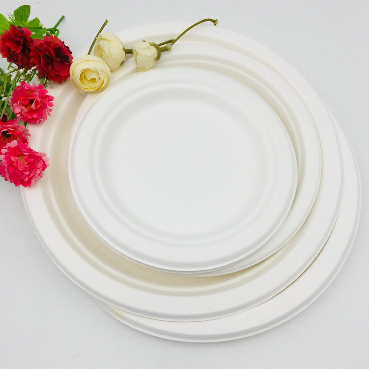 2018 New Product Environmental Protection Biodegradable Paper Plates