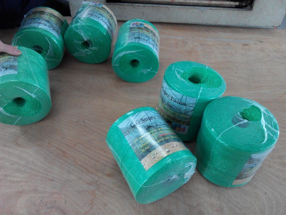 PP Blue Yellow Color Baler Twine (LT)