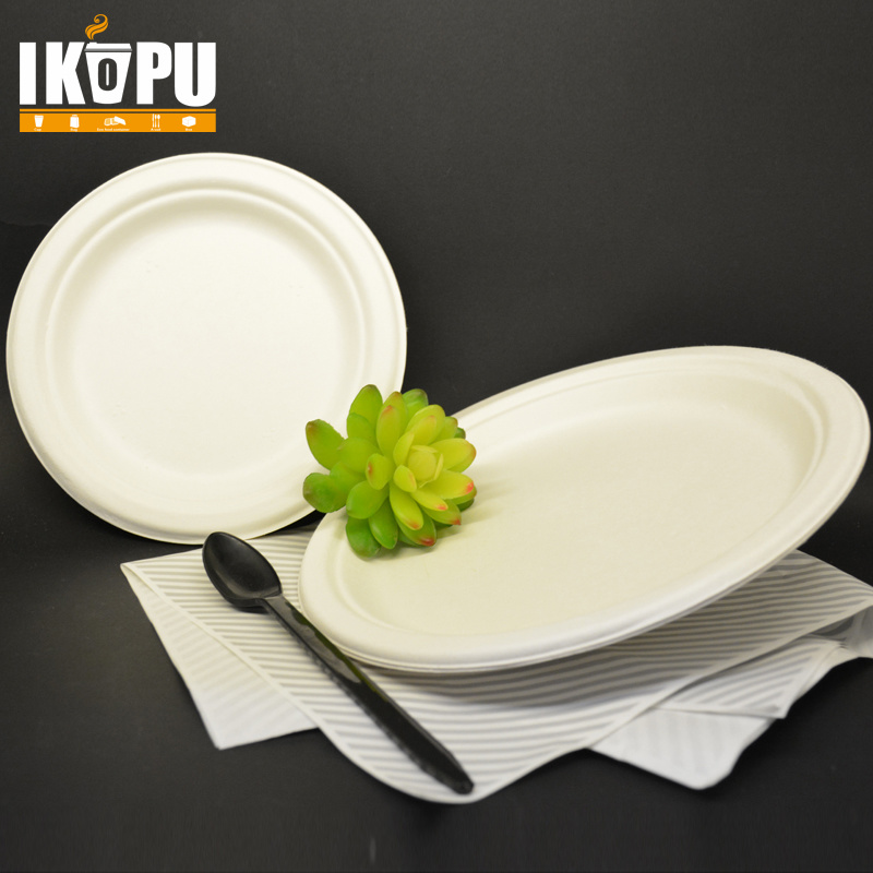 Cheap Biodegradable Corrugated Disposable Paper Plate