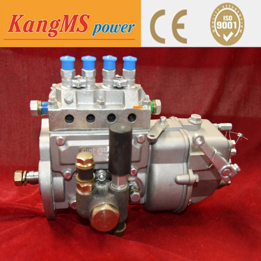 Weichai Engine Parts Turbocharger Oil Pump ISO9001 Ce