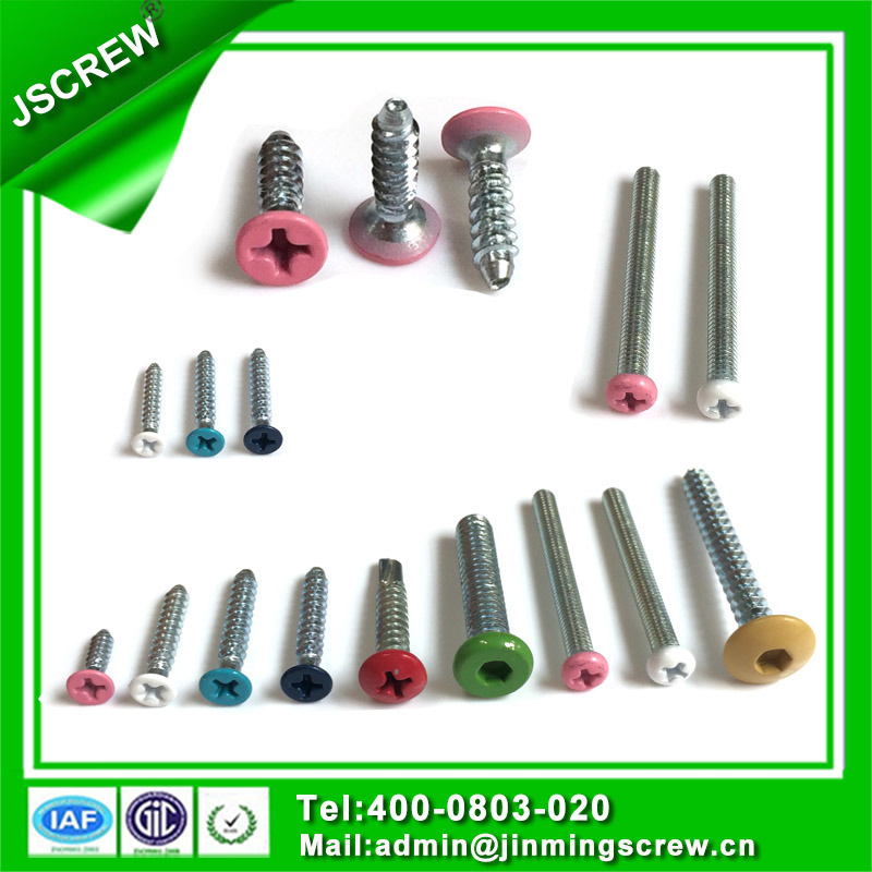 10# Painted Hot DIP Galvanized Hex Head Self Drilling Screw