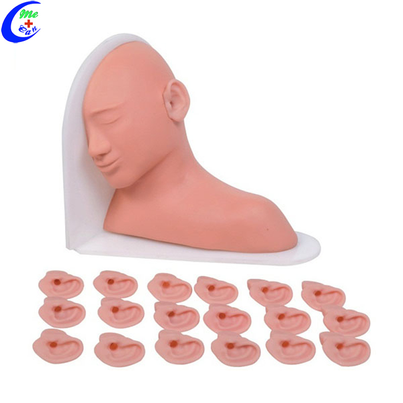 Basic Nursing Set Ear Examination Simulator Model