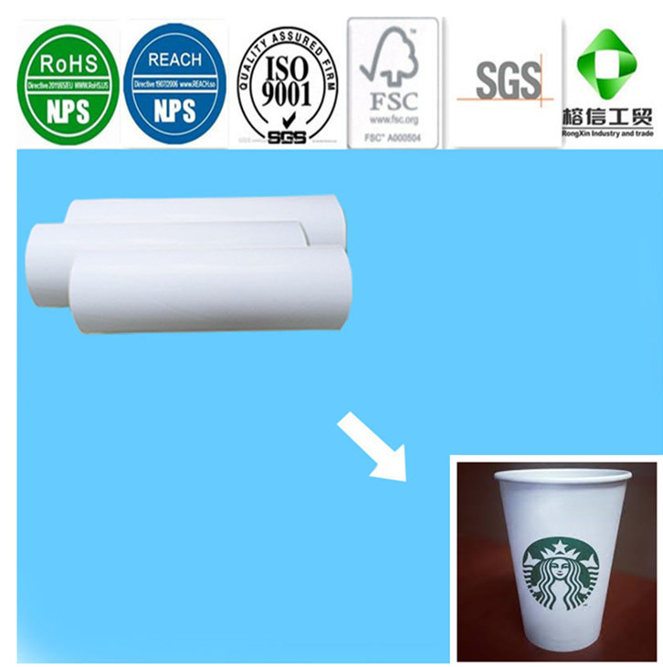 Single Side PE Coated Hot Coffee Drinking Cup Paper